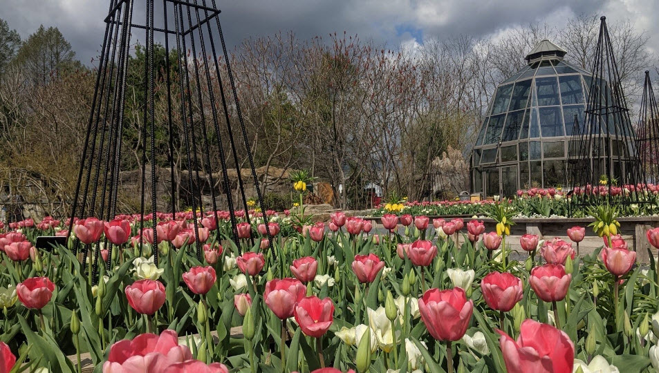 The Arboretum at Penn State Behrend, United States
